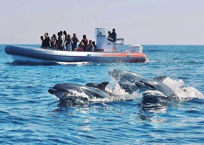 Elevated Beachfront 2br I 2ba - Sea View Balcony, Private Garage, Wifi, Ac Apartment