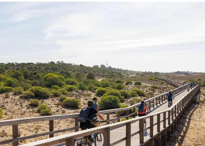 Apartment Elevated Beachfront 2br I 2ba - Sea View Balcony, Private Garage, Wifi, Ac *