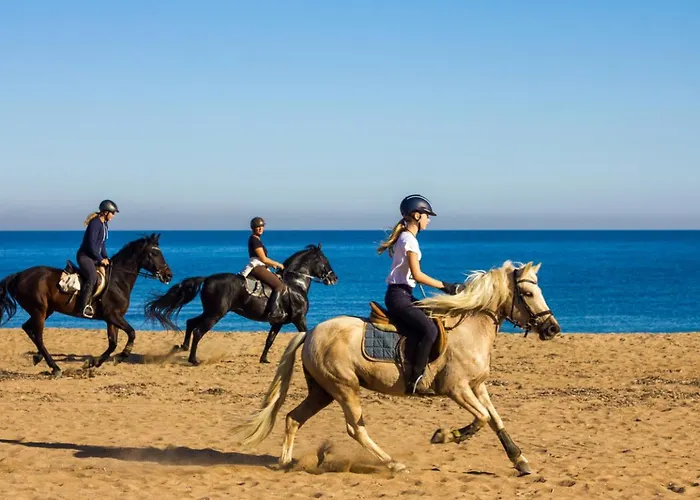 アパート Elevated Beachfront 2br I 2ba - Sea View Balcony, Private Garage, Wifi, Ac