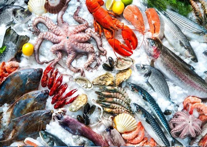 Elevated Beachfront 2br I 2ba - Sea View Balcony, Private Garage, Wifi, Ac アパート