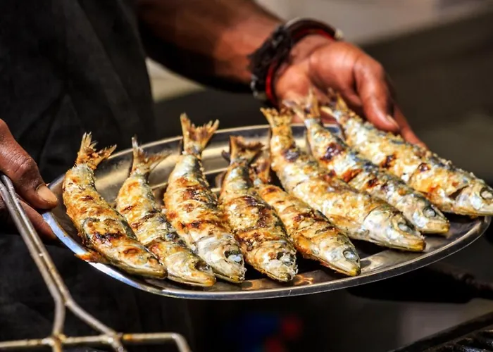 Elevated Beachfront 2br I 2ba - Sea View Balcony, Private Garage, Wifi, Ac *